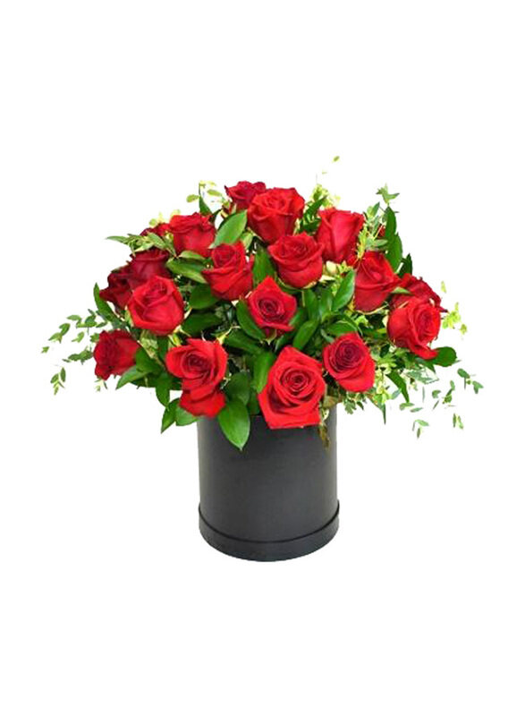 

Carmel Flowers Romantic Red Rose Treat with Fillers, 25 Pieces, Red