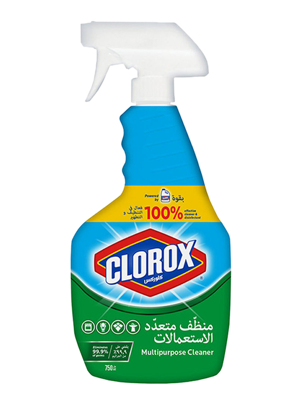 Clorox Multipurpose Cleaner, 750ml