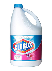 Clorox Floral Fresh Stain Removal, 3.78 Liter