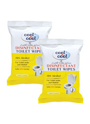 Cool & Cool  Disinfectant Toilet Wipes, 2 Pack x 20 Sheets