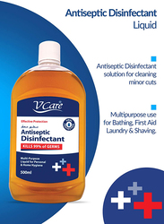 V Care Effective Protection Antiseptic Disinfectant Liquid, 500ml