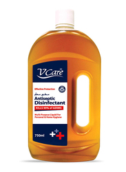 V Care Effective Protection Antiseptic Disinfectant Liquid, 750ml