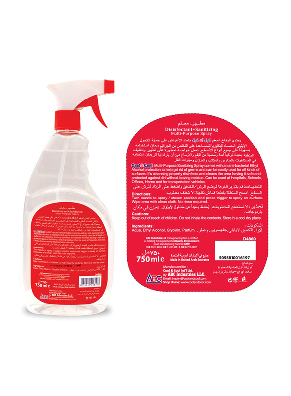 Cool & Cool Multipurpose Disinfectant Spray, D4860, 6 Pieces x 750ml