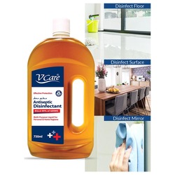V Care Effective Protection Antiseptic Disinfectant Liquid, 2 Bottles x 750ml