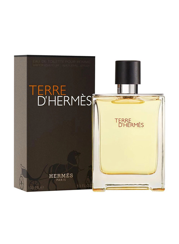 Hermes Terre d'Hermes 100ml EDT for Men