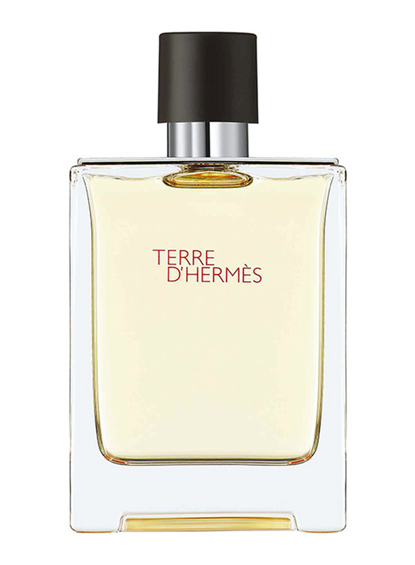 Hermes Terre d'Hermes 100ml EDT for Men