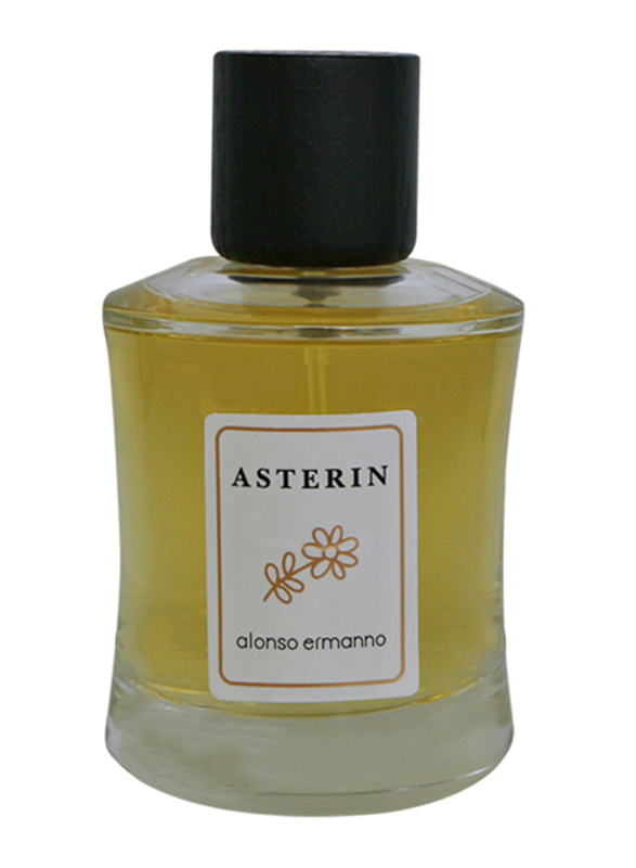 Alonso Ermanno Asterin 100ml EDP Unisex