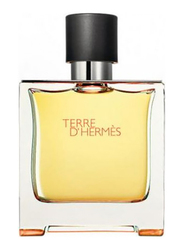 Hermes Terre d'Hermes 75ml EDP for Men