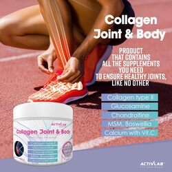 Paxas Collagen Joint & Body Supplement, 300g