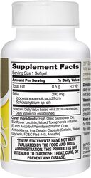 21St Century Prenatal DHA Supplement, 30 Softgels