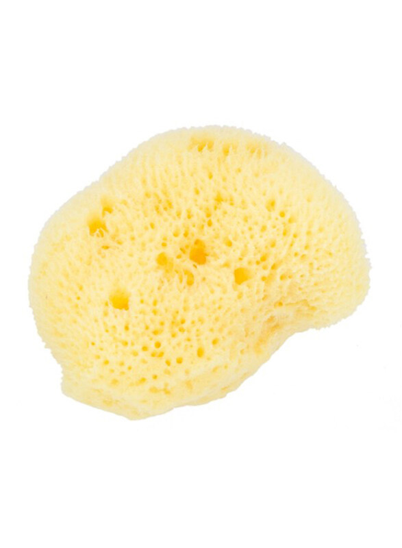 

Beautytime Cosmetic Sea Sponge, Yellow