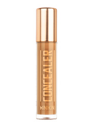 Character Mini Concealer, Salted Caramel, Brown