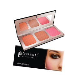 Character Go Blusher Palette, NTE001 Multicoulor