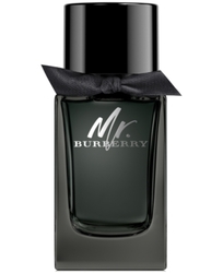 Mr. Burberry by Burberry 100ml EDP for Men