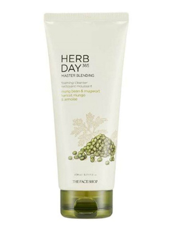 The Face Shop Herb Day 365 Master Blending Facial Foaming Cleanser, Mungbean and Mugwort, 170ml