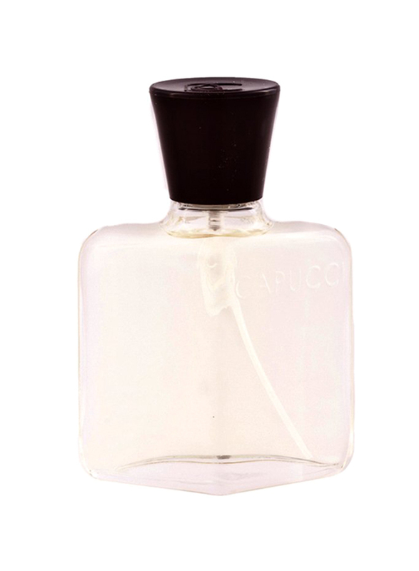 Roberto Capucci Pour Homme 100ml EDT for Men