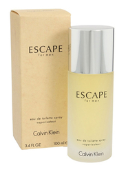 Calvin Klein Escape 100ml EDT for Men