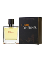 Hermes Terre D'Hermes 75ml EDP for Men