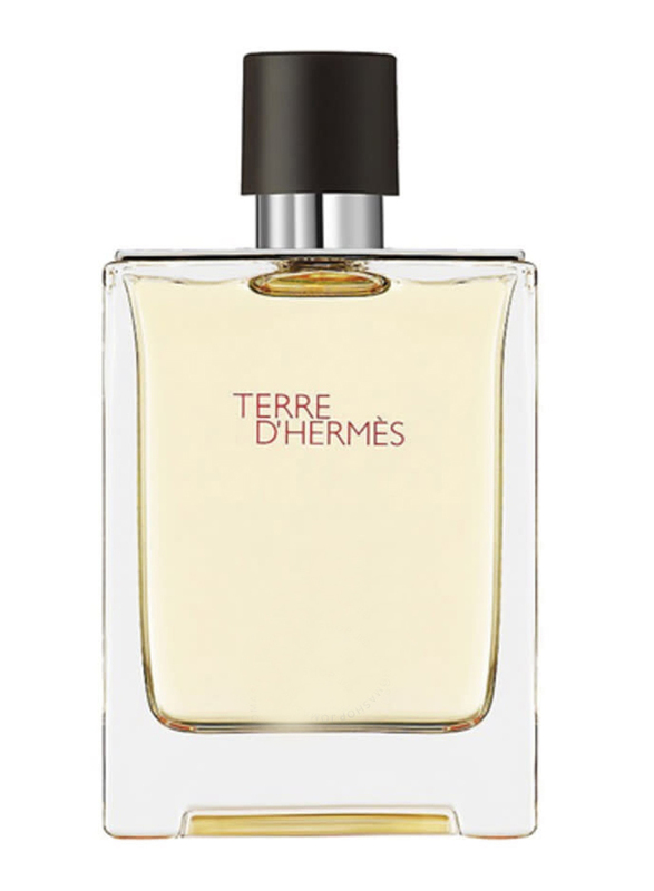 Hermes Terre D'hermes 100ml EDT for Men