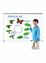 Learning Resources Magnetic Butterfly Life Cycle