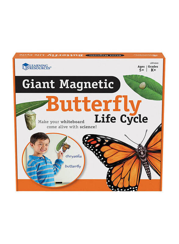 Learning Resources Magnetic Butterfly Life Cycle