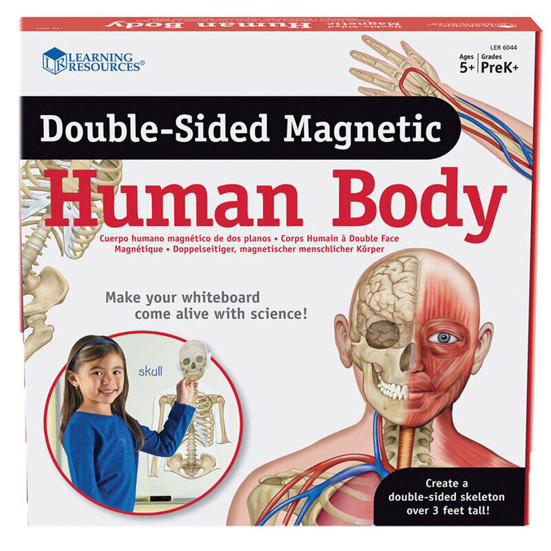 

Learning Resources Double-Sided Magnetic Human Body 3Ft, 17-Pieces, Ages 5+