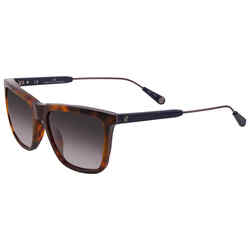 Carolina Herrera Full-Rim Square Brown Unisex Sunglasses, Grey Lens, SHE809 01GZ, 56/17/145