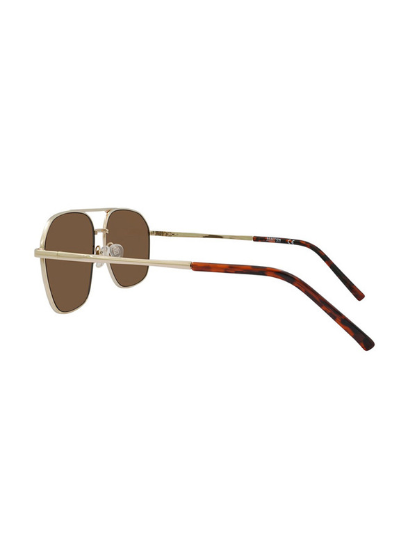 Kenneth Cole Full-Rim Pilot Gold Sunglasses for Men, Brown Lens, KC2948 32E