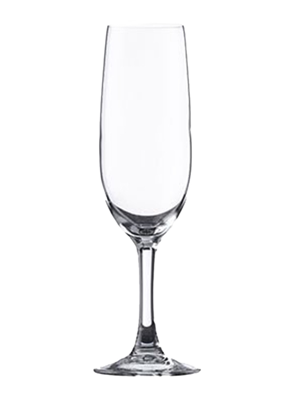 Vicrila 170ml Platine Champagne Glass, FA6, Clear