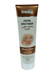 Silky Cool Dead Sea Facial Mud Mask, 275ml