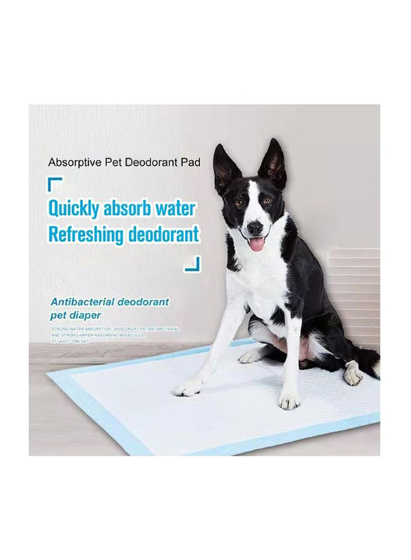 50-Piece Pet Diaper Training Pad, White/Blue