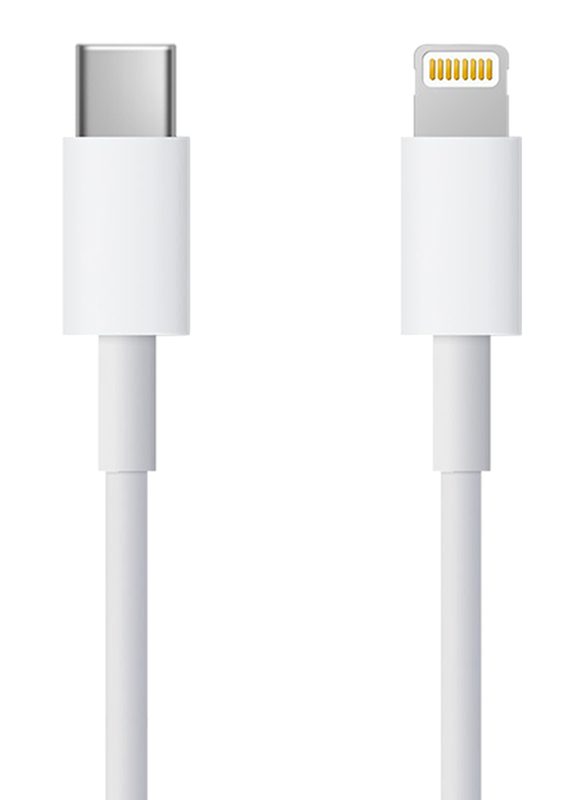 Nyork 1-Meter NYU-26 Lightning Cable, High Speed 2.1A USB Type-C to Lightning, Sync and Charging Cable for Smartphones, White