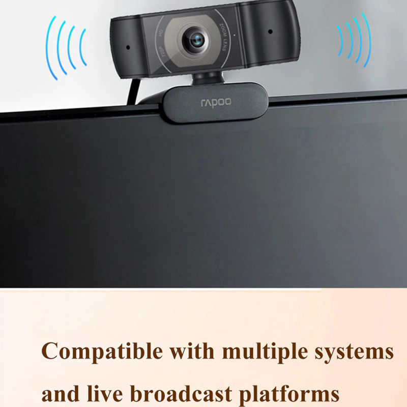 Rapoo C200 720p Full HD USB Webcam for PC/Laptop/Desktop/Video Calling/Conferencing, with Microphone, Black