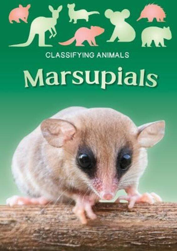 

Marsupials by Madeline Tyler-Paperback