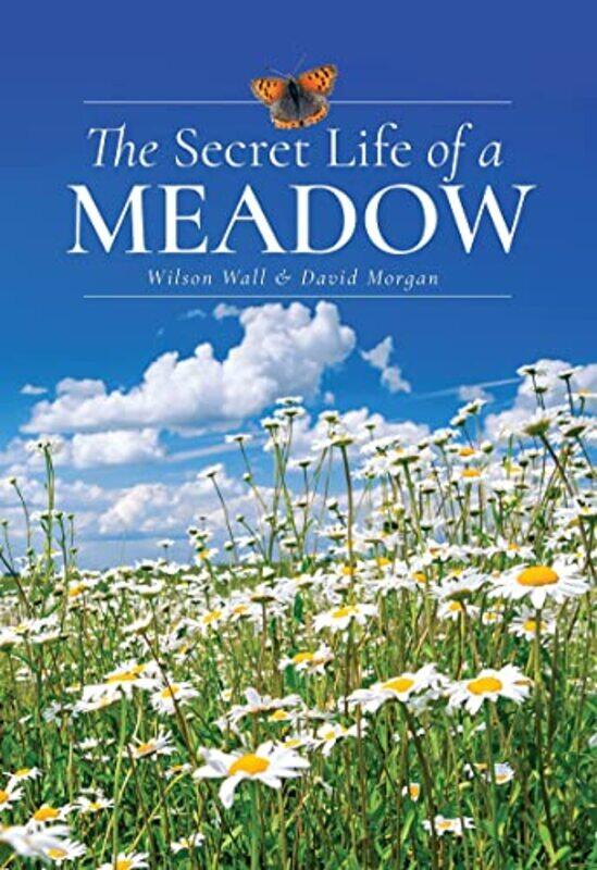 

The Secret Life of a Meadow by Maggie Ford-Hardcover