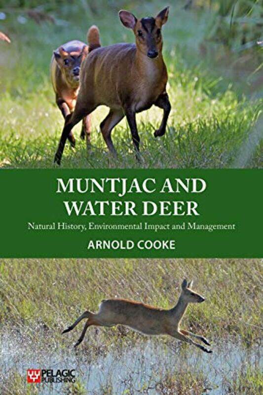 

Muntjac and Water Deer by Denise J Howard-Paperback