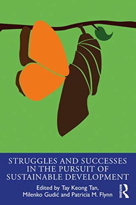 

Struggles And Successes In The Pursuit Of Sustainable Development by Tay Keong TanMilenko GudicPatricia Flynn-Paperback