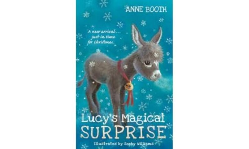 Lucys Magical Surprise by Anne , Kent, UK BoothSophy , Bradford on Avon, UK Williams-Paperback