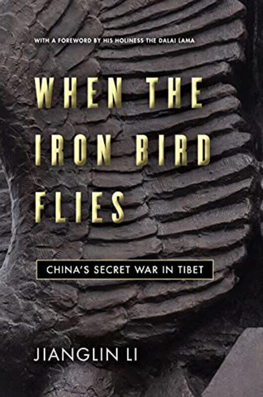 

When the Iron Bird Flies by Jianglin Li-Hardcover