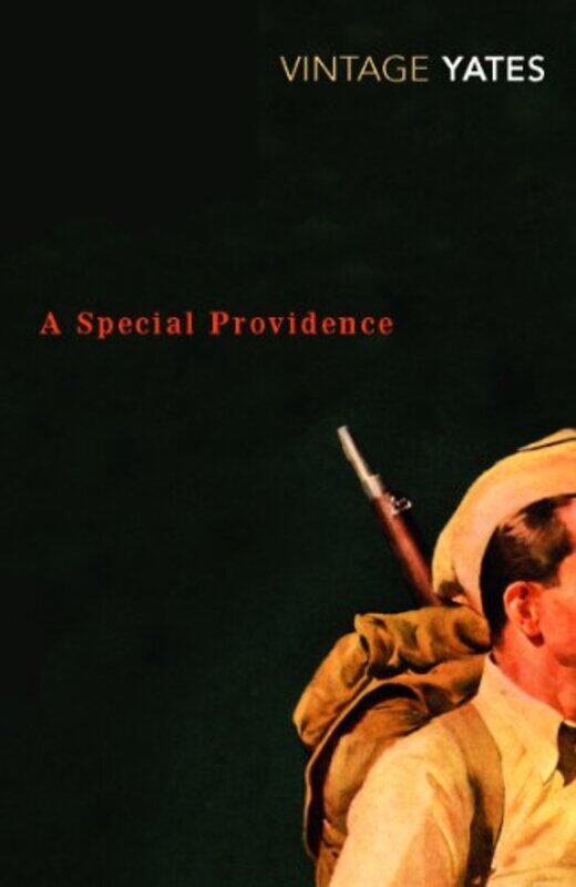 

A Special Providence by Richard Yates-Paperback