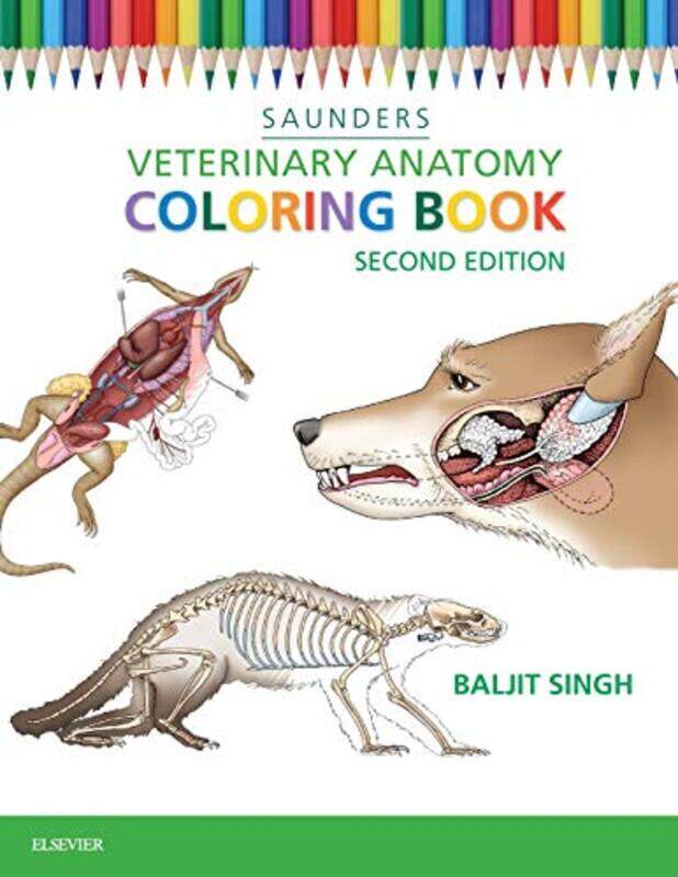 

Veterinary Anatomy Coloring Book by Jeff Gold-Paperback