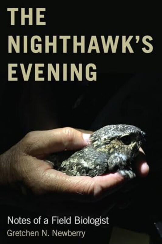 

The Nighthawks Evening by Gretchen N Newberry-Paperback