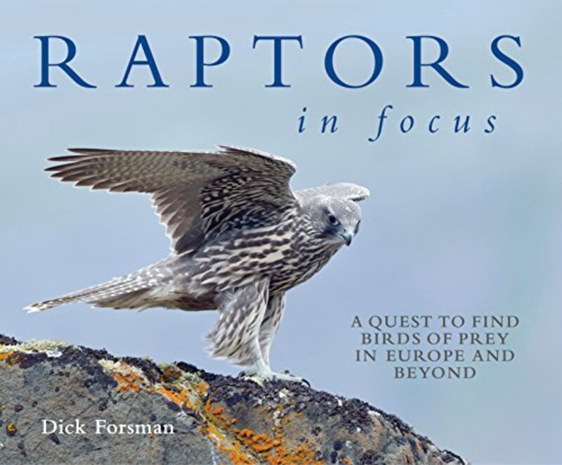 Raptors in Focus, Hardcover Book, By: Dick Forsman
