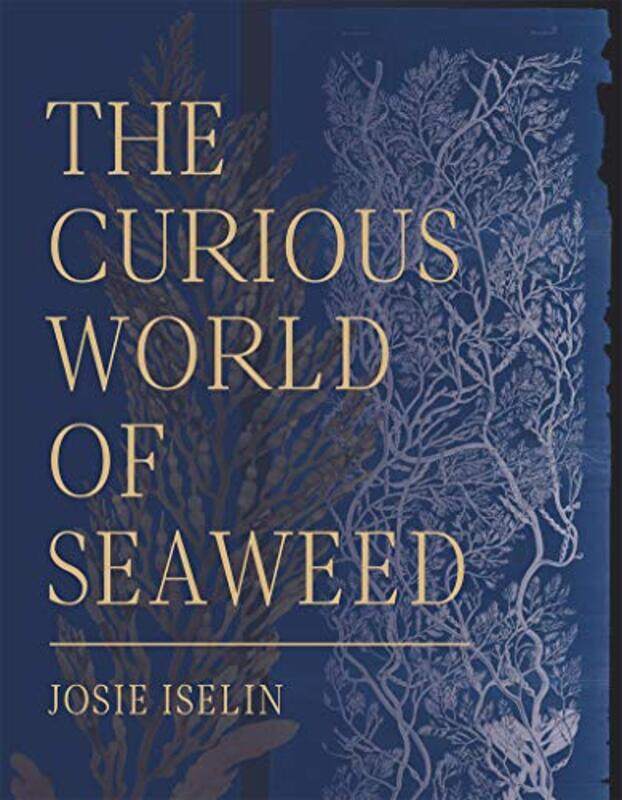 

The Curious World of Seaweed by Dale Pendell-Hardcover