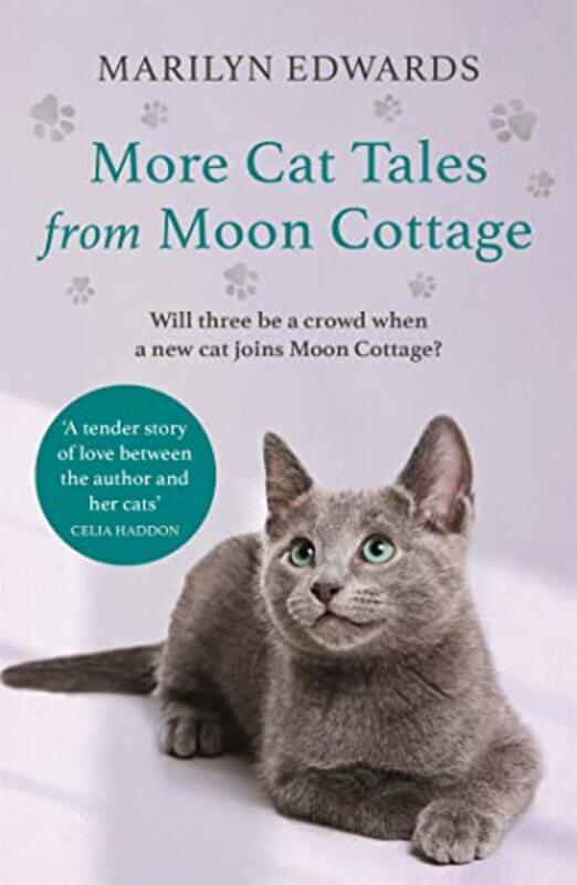 

More Cat Tales From Moon Cottage by Marilyn Edwards-Paperback