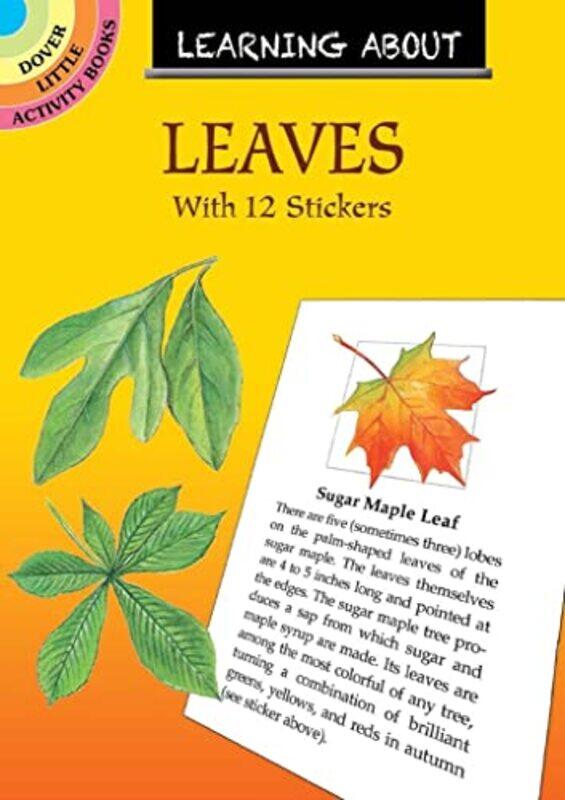 

Learning About Leaves by Dot Barlowe-Paperback