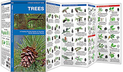 Trees: A Folding Pocket Guide to Familiar North American Plants (Wildlife and Nature Identification), Pamphlet Book, By: James Kavanagh Waterford Press, Leung Raymond Leung Raymond