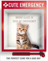 Cute Emergency.Hardcover,By :Tony Heally
