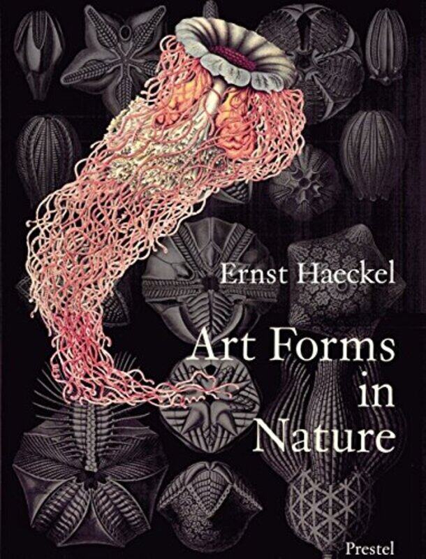 

Art Forms in Nature: Prints of Ernst Haeckel,Paperback,by:Olaf Breidbach