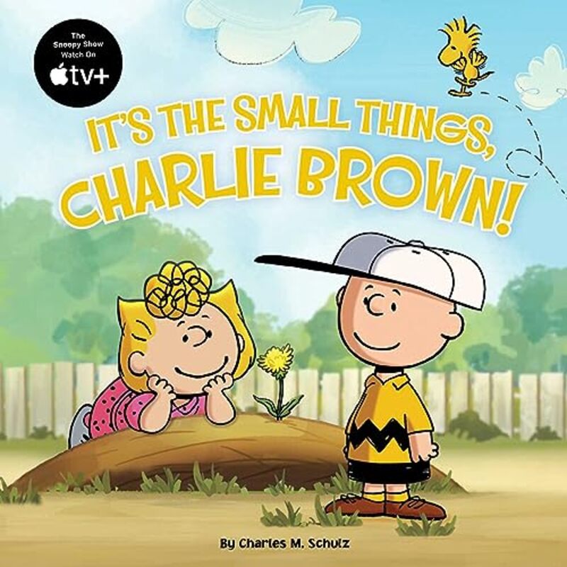 

Its The Small Things Charlie Brown By Schulz Charles M - Paperback